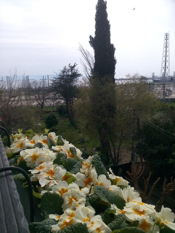 Pendik Marine Hotel Provincia di Provincia di Istanbul Esterno foto